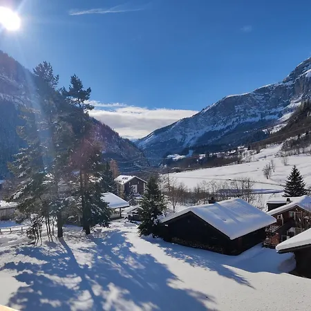 Big Studio, Just Renovated, Great Views, With Free Parking Apartment *